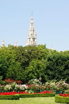 Gothic spires of Vienna's Rathaus (City Hall) rise above the rose garden in the Volksgarten park