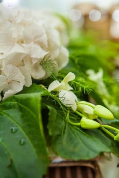 flowers closeup