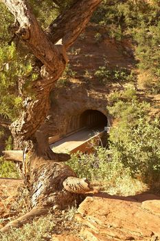 Red Desert, Tunnel Entrance, Zion National Park, Utah, USA