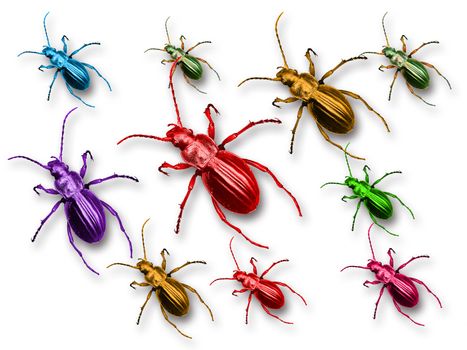 Macro picture of colored beetles on a white background