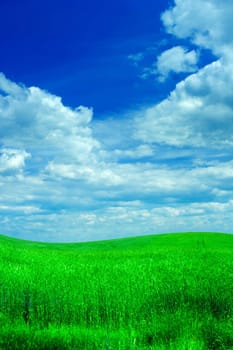 field and sky