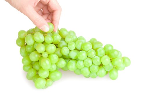 hand ripe tasty cluster grape isolated on a white background