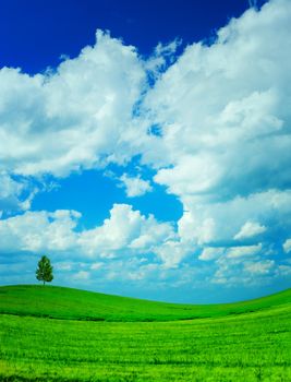 hill field sky