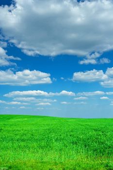beauty blue sky green field 