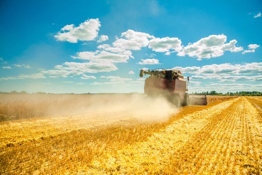 combine harvester in work