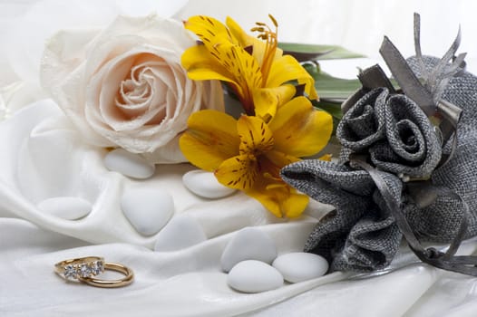 roses and wedding rings on white background