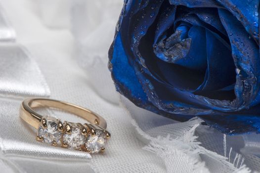 roses and wedding rings on white background