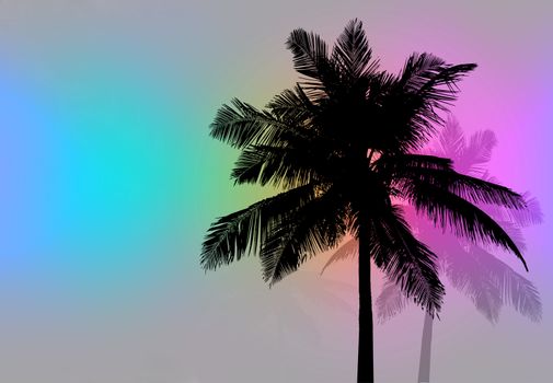 Tropical coconut palm tree silhouettes illustration in vector format.