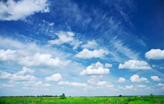 field and sky