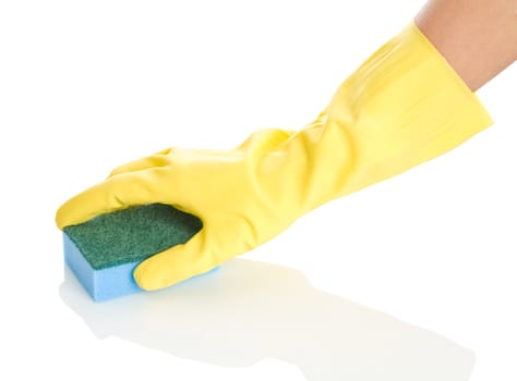 blue sponge in hand