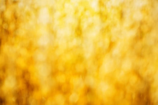 bokeh of golden ripe wheat