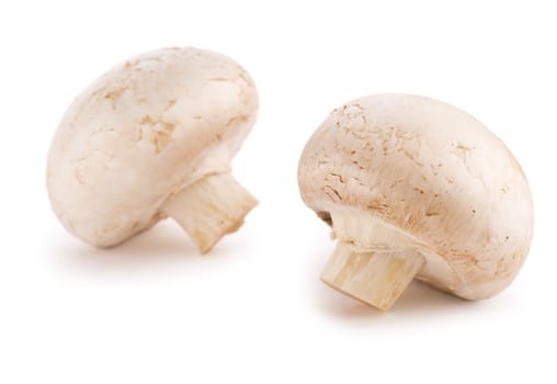 champignons isolated