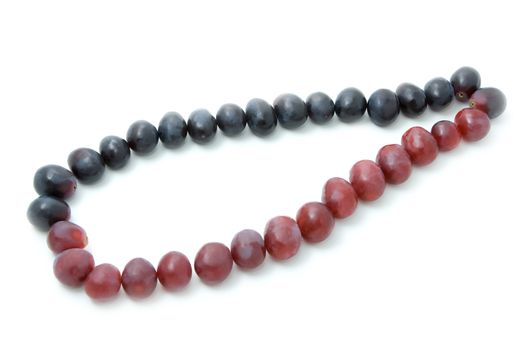 contour of grape