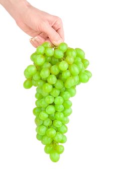 grape on a hand isolsted