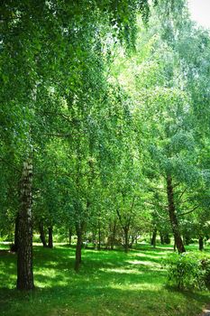 green birch park