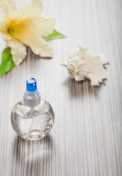 cockle shell bottle and flower