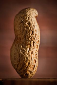 peanut macro