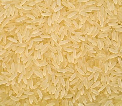 rice closeup