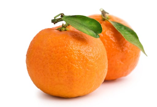 two tangerine with leaves