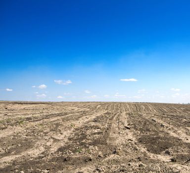 uncultivated field