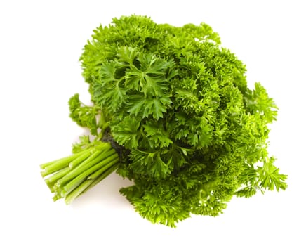 isolated big banch of a parsley