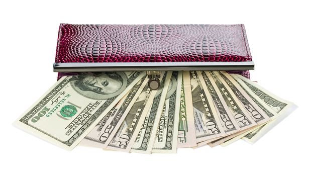 opened purse with dollars