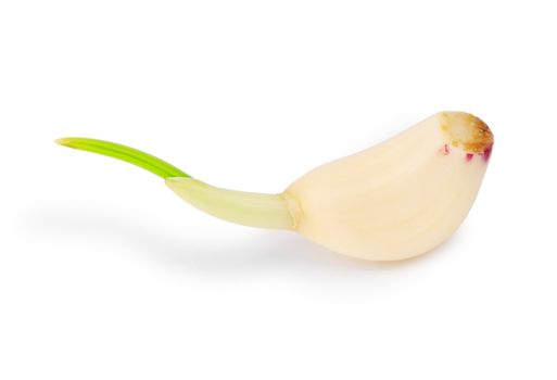 Part of garlic