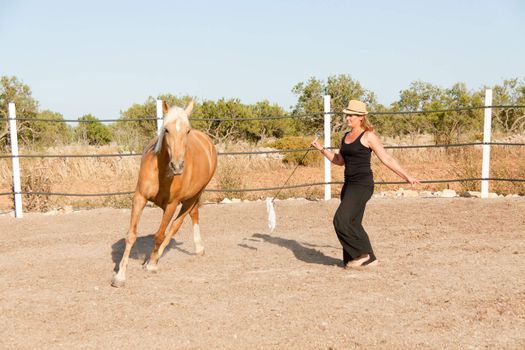 young woman training horse outside in summer choreography 