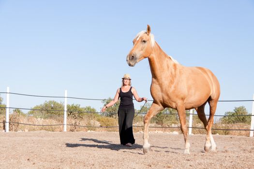 young woman training horse outside in summer choreography 