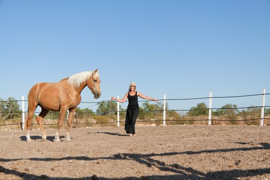 young woman training horse outside in summer choreography 