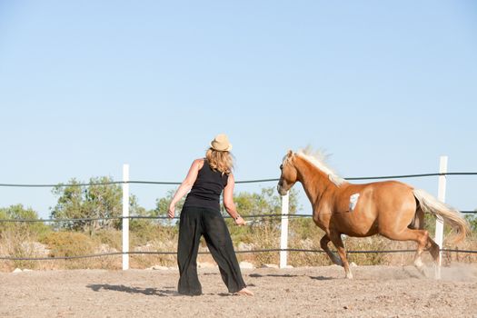 young woman training horse outside in summer choreography 