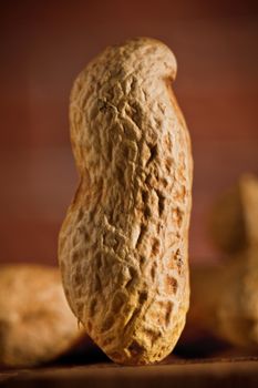 peanut macro on blurry background