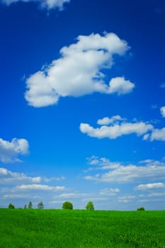 cloudscape green grass blue sky