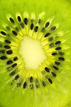 extreme kiwi macro