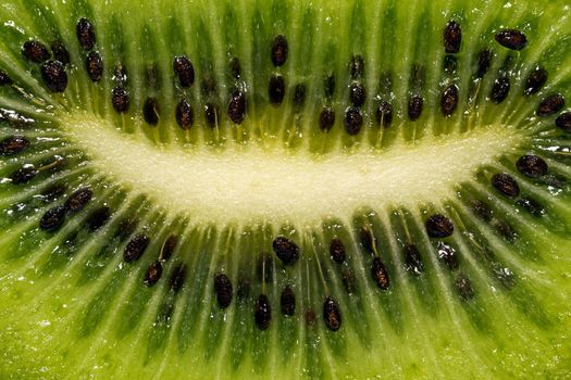 fruit of kiwi - macro
