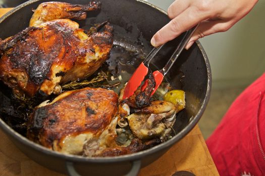 Details of Pieces of Tasty Roast Chicken