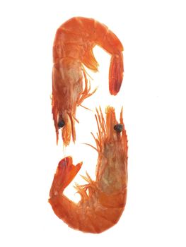 King Prawns