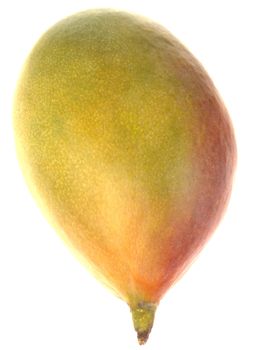 Fresh Mango