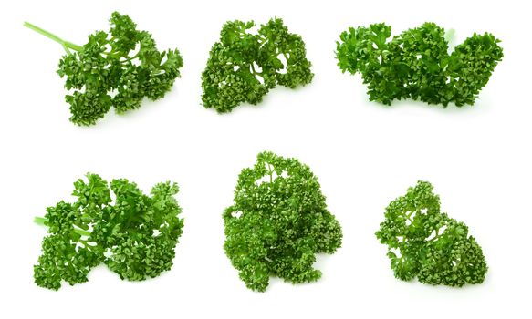 parsley
