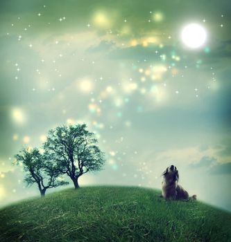 Little dachshund dog in a magical landscape in the night