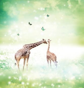 Two Giraffes, mother and child in friendship or love theme image at a fantasy landscape