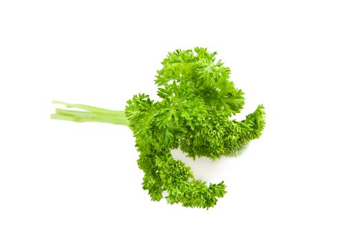 parsley