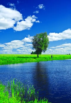 lake on the summer field