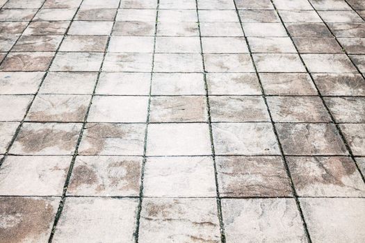 Wet foot path texture with stone plates