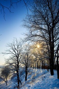 winter view