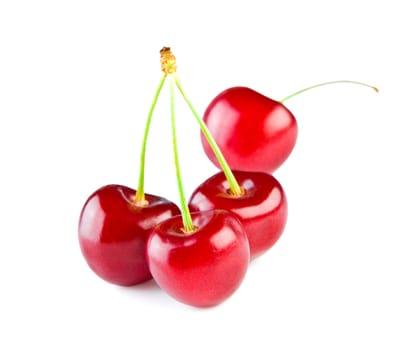 Berries of a cherry