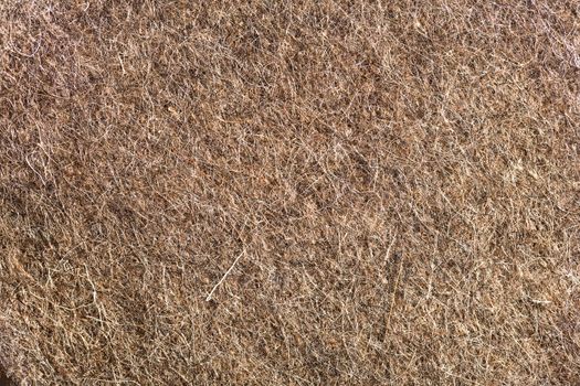 texture of  felt