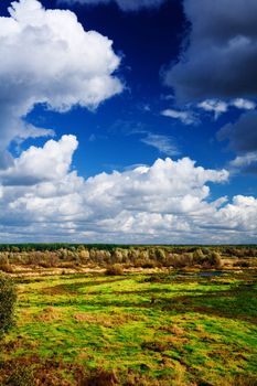view on the autmn meadow