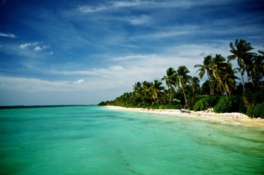 Coast Line in Indian Ocean. Maldivian Islands