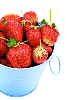 Blue Tin Bucket with Ripe Strawberries Cross Section  isolated on white background